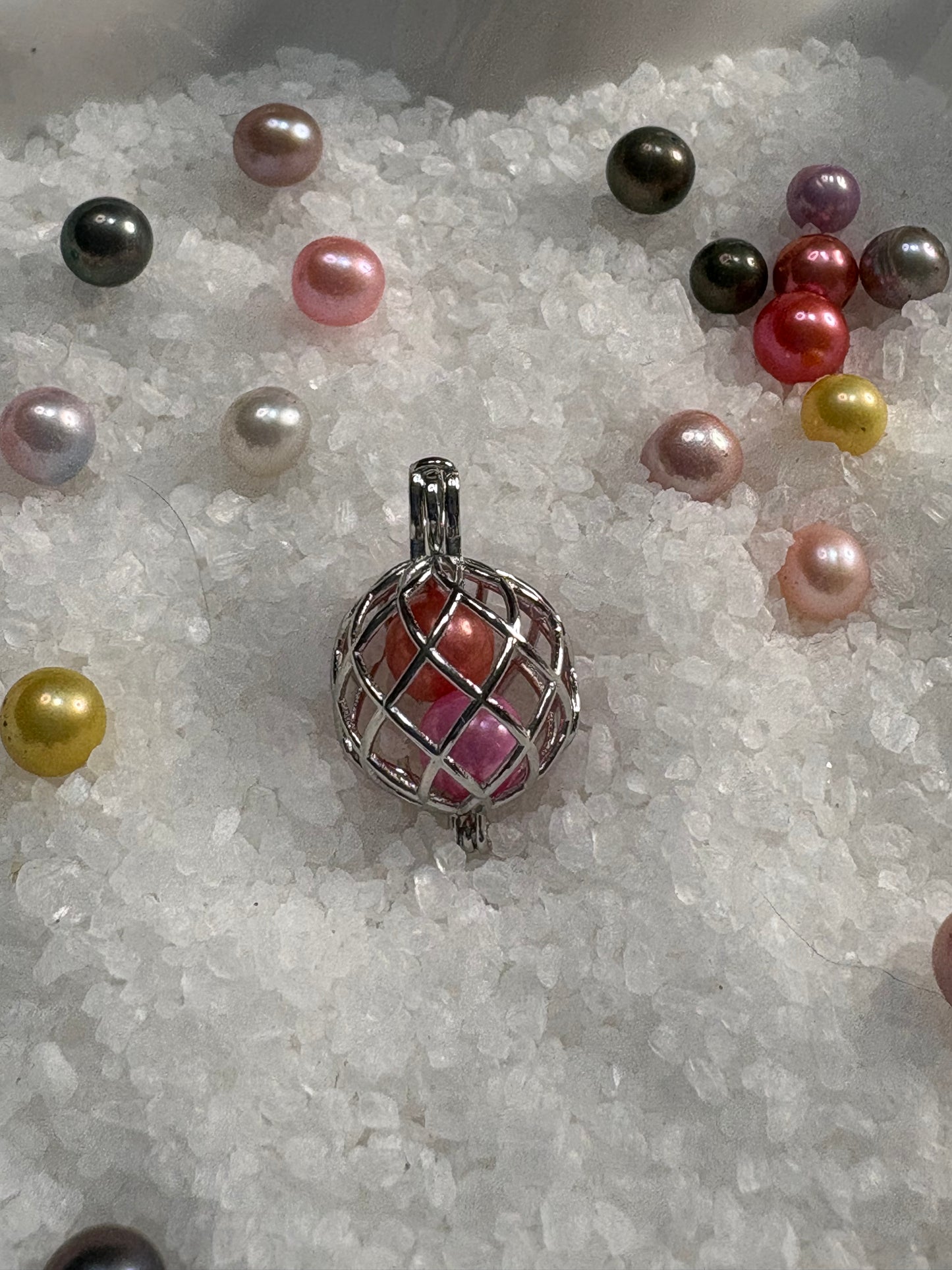 World of Wonder Pendant Cage
