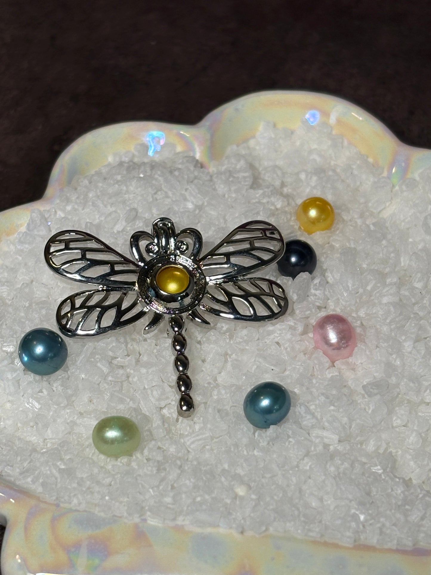 Dragonfly Dreams Pendant Cage
