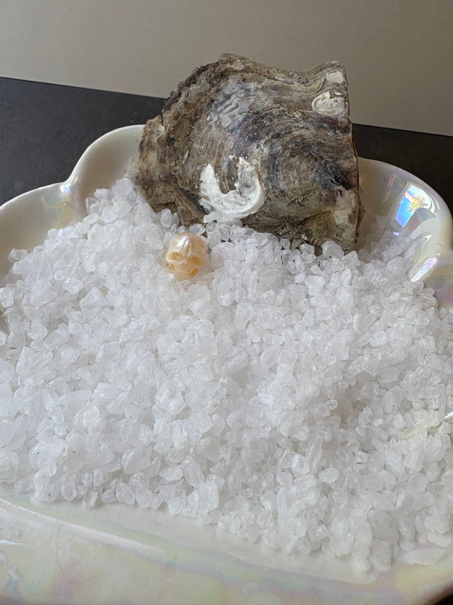 Skull Pearl Oyster