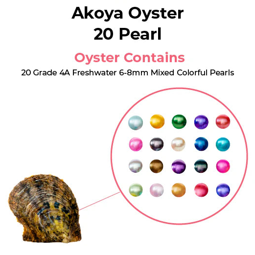 Pearl Parade Oyster (20 Round Pearls)