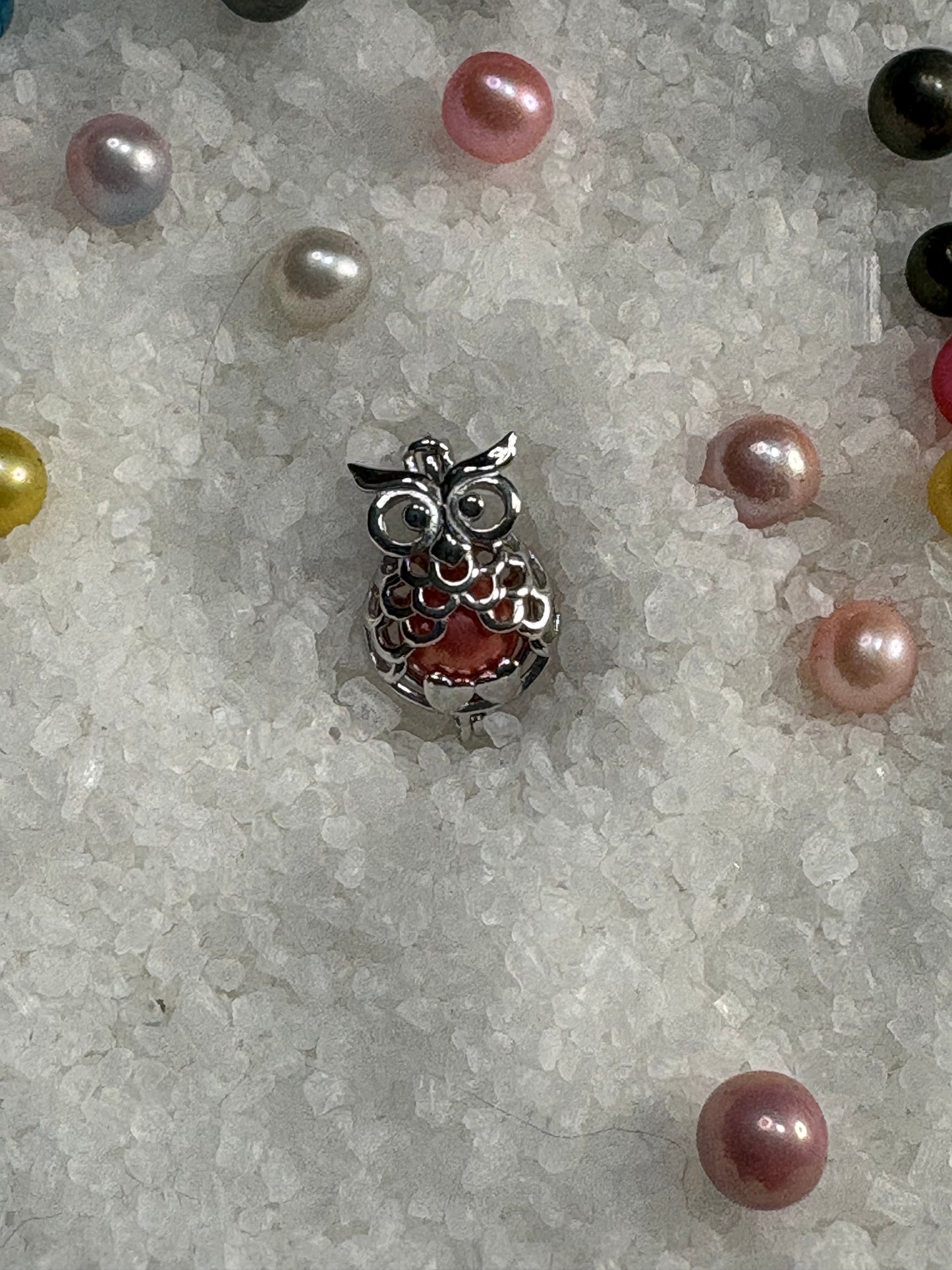 Wise Owl Pendant Cage