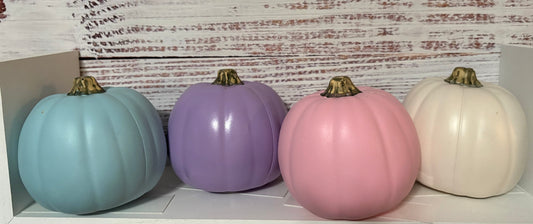 Jacki's Pumpkin Patch