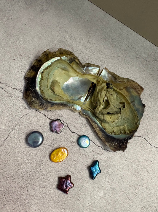 Mystery Shape Oyster