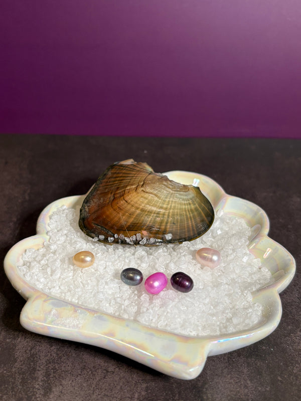 Mini Tray of Rice Oysters