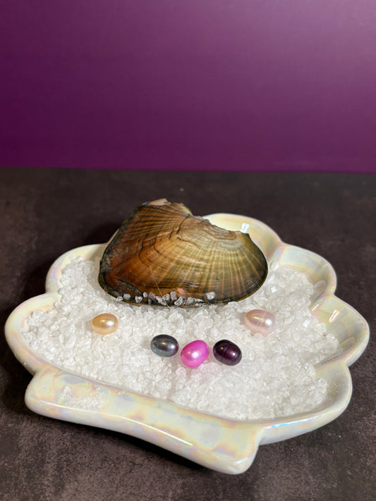 Tray of Rice Oysters