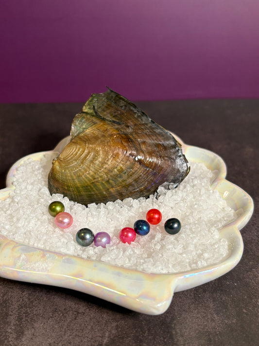 Tray of Round Oysters