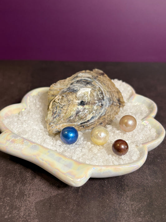 Edison Oyster opening