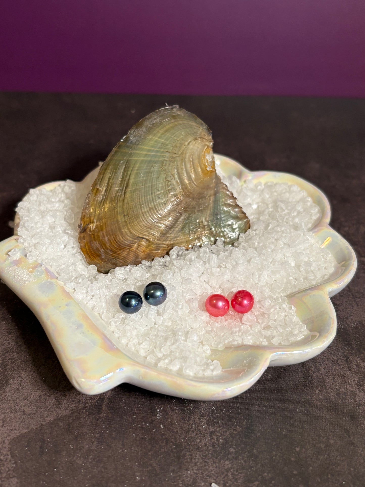 Twin Pearl Oyster opening
