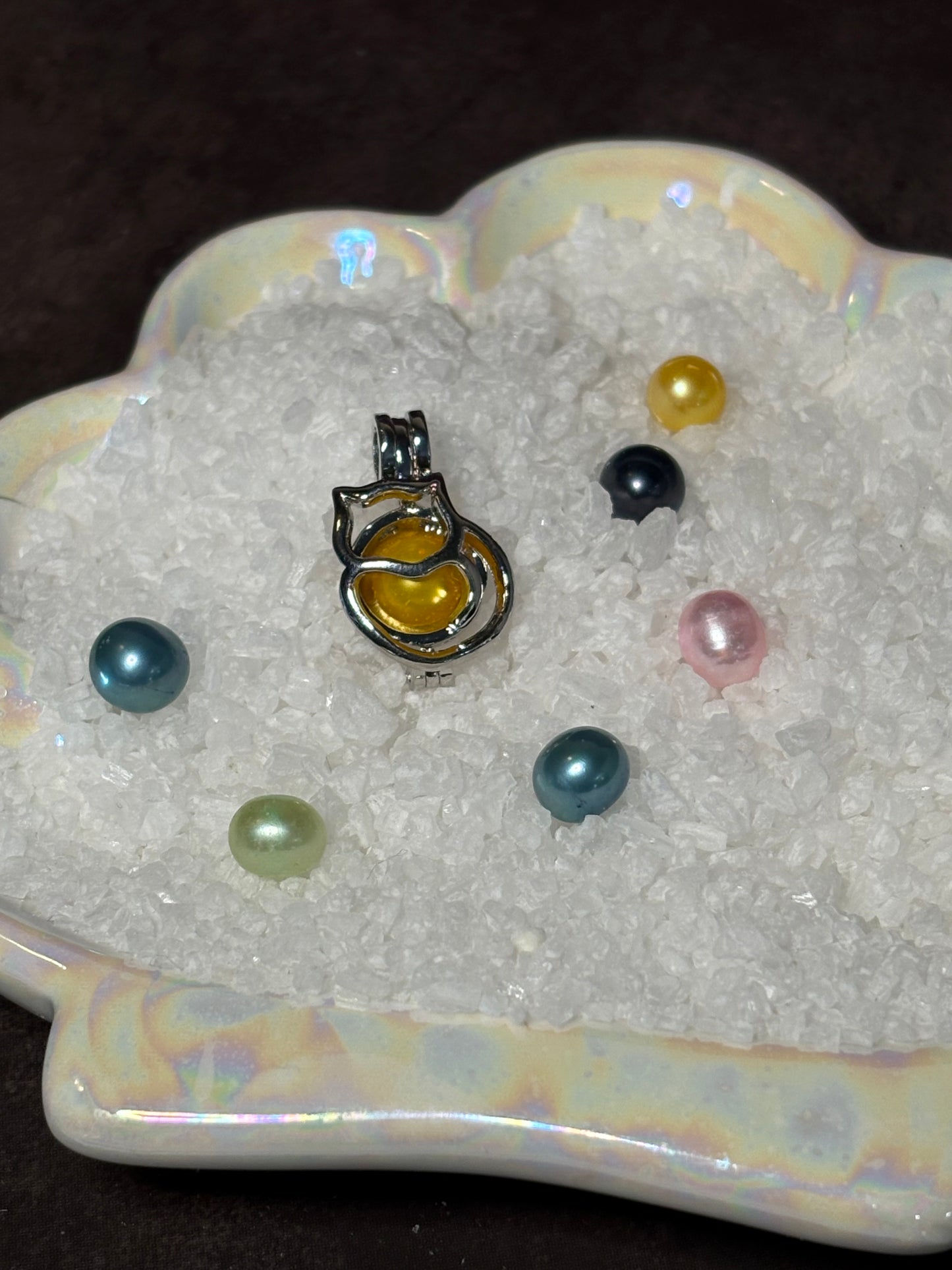 Purr-fectly Cozy Pendant Cage