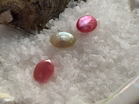 Oval Pearl Oyster