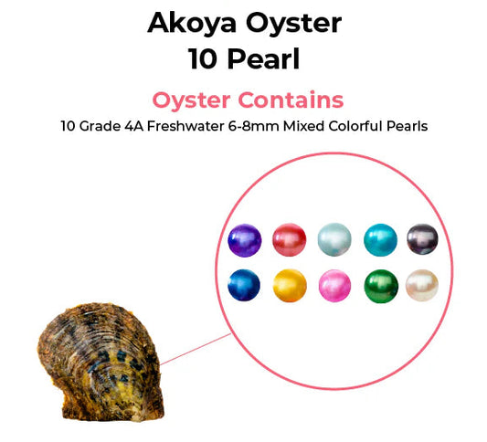 Pearl Party Oyster (10 Rounds)