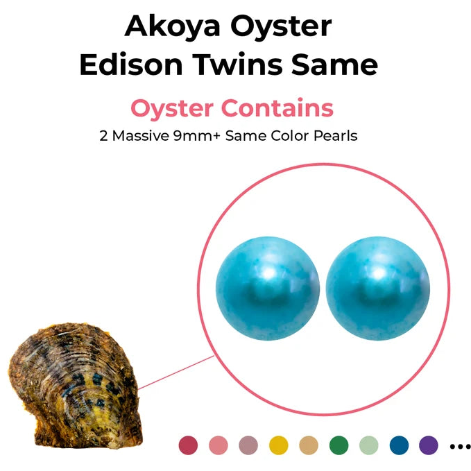 Edison Twin Oyster