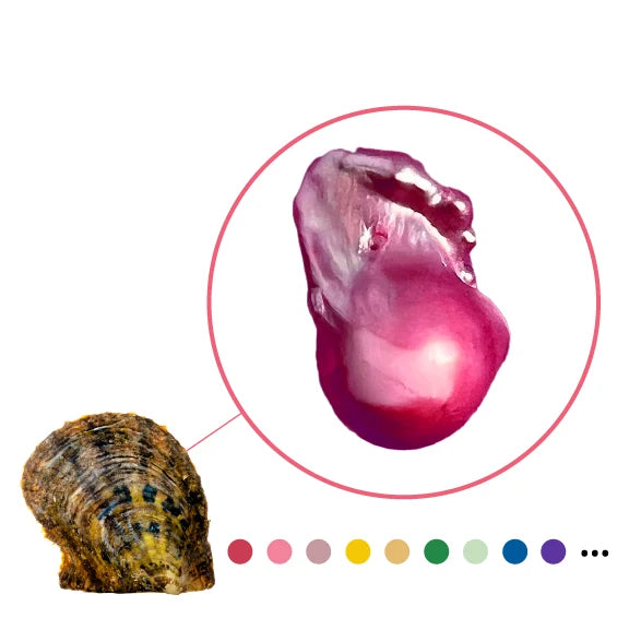 Fireball Oyster