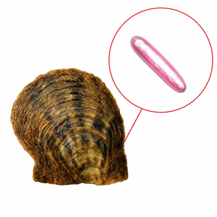 Stick (Biwa) Pearl Oyster